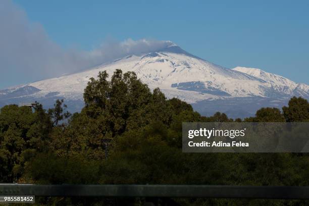 etna volcano fotograf adina felea - adina bildbanksfoton och bilder