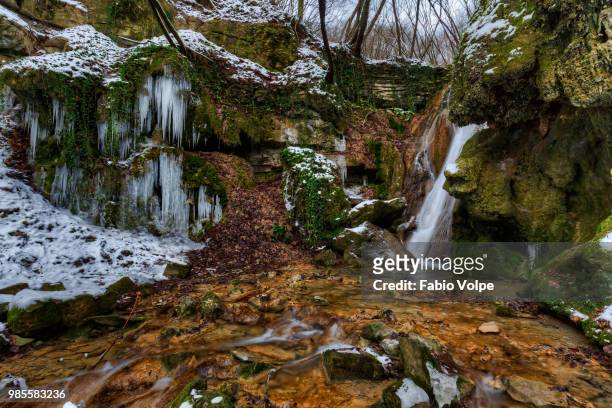 freezing in the waterfalls - volpe stock pictures, royalty-free photos & images