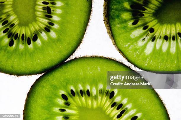 kiwis - markl stock-fotos und bilder