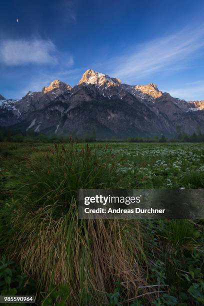 totes gebirge - gebirge stock pictures, royalty-free photos & images