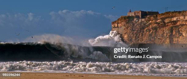 nazare xxl - xxl stock pictures, royalty-free photos & images