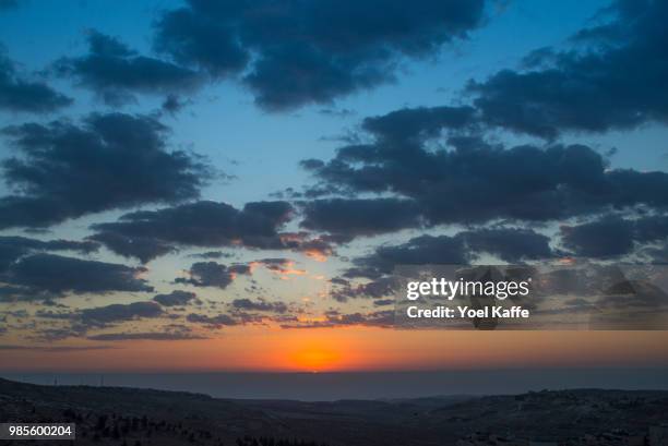 winter sunrise - kaffe stockfoto's en -beelden