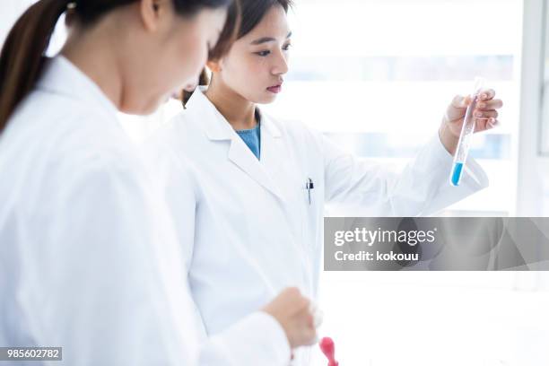 een vrouw observeren van de vloeistof in een reageerbuis. - petri schaal stockfoto's en -beelden