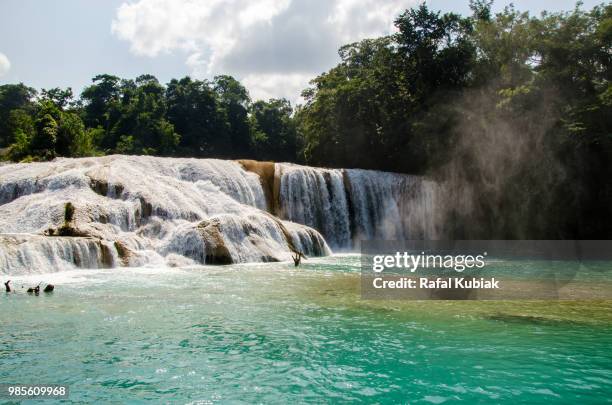 agua azul waterfalls, mexico - agua azul stock-fotos und bilder