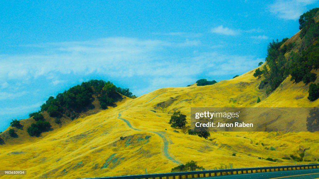 Golden hill
