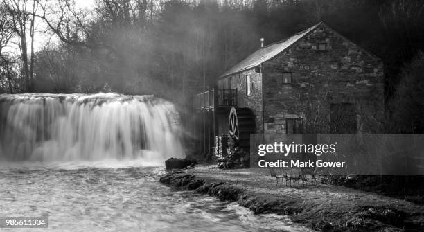 Antique Rutter Photography 5,798 Rutter Stock Photos, High-Res Pictures, and Images - Getty Images