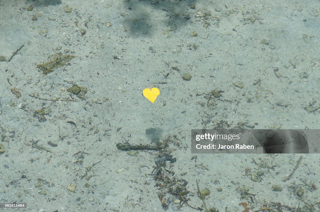 Yellow heart