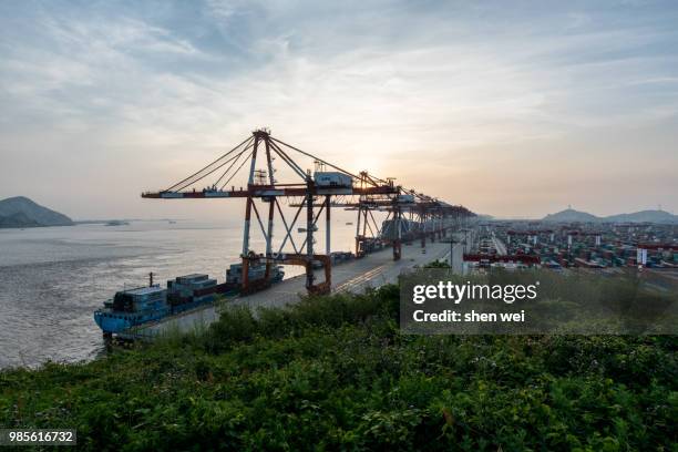 international container terminal in shanghai, china - wei shen ストックフォトと画像