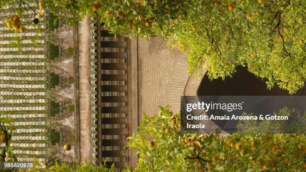 sevilla, spain. patio de los naranjos in sevilla's cathedral - seville oranges stock pictures, royalty-free photos & images