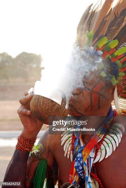 indigenous smudging ceremony. - native american feather stock pictures, royalty-free photos & images