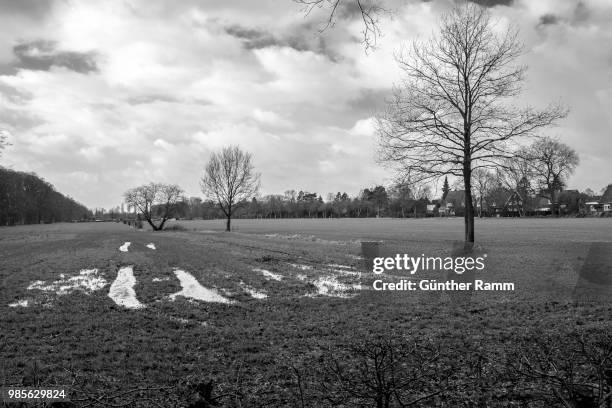 landschaft um leer ostfriesland - leer stock pictures, royalty-free photos & images