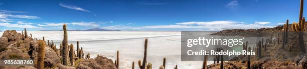 salar del uyuni - isla incahuasi - reis stock pictures, royalty-free photos & images