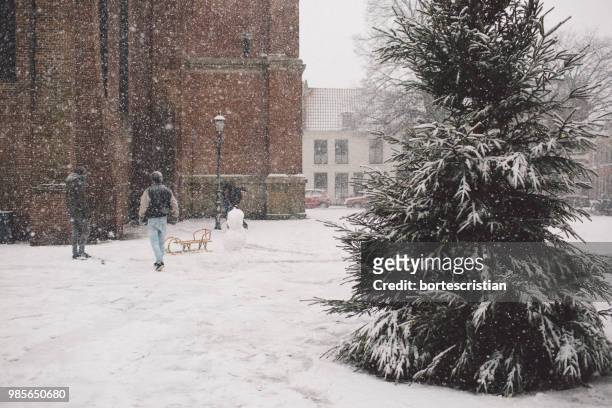 trees on snow covered landscape during winter - bortes fotografías e imágenes de stock