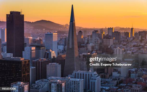 the sweet taste of the night - transamerica pyramid stock pictures, royalty-free photos & images