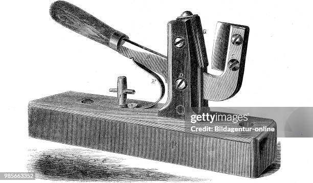 Tree Cutting Instrument 419 Grafting Tree Stock Photos, High-Res Pictures, and Images - Getty ...
