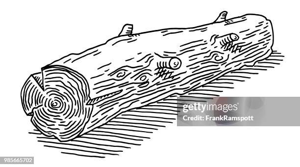 1 346点の丸太イラスト素材 Getty Images 1 346点の丸太イラスト素材 Getty Images