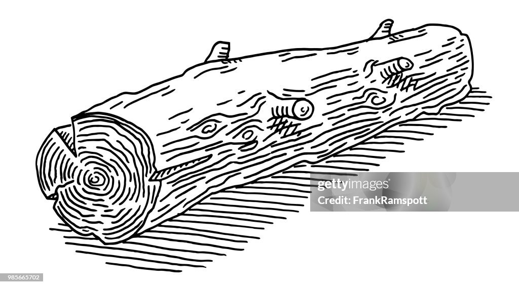 Tree Log Drawing Rocks Tree Log Drawing High-Res Vector Graphic - Getty Images