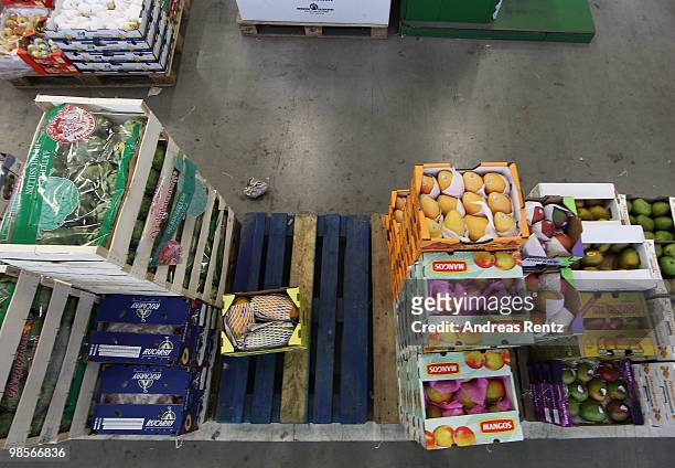 Only two boxes of Brazilian papaya fruits lay on a nearly empty palette beside mango fruits at the central market on April 20, 2010 in Berlin,...