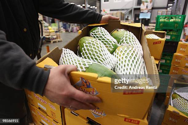Shopper lifts up a box of Brazilian papaya fruits at the central market on April 20, 2010 in Berlin, Germany. Imports of foreign foods such as Kenyan...