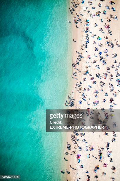 beach overhead view - crowded beach stock pictures, royalty-free photos & images