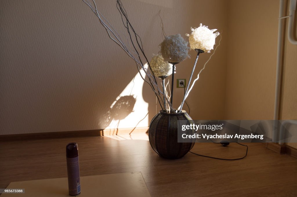 Vase with flowers on the floor, interesting sunset lighting, home decoration & design