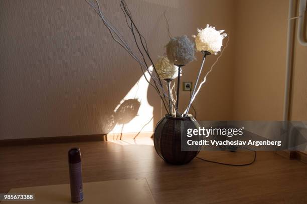 vase with flowers on the floor, interesting sunset lighting, home decoration & design - argenberg stock-fotos und bilder
