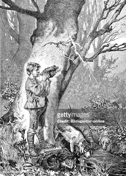 Thirst, boy and his three dogs drinking water from a stream in the forest, Durst, Junge und seine drei Hunde trinken Wasser aus einem Bach im Wald,...