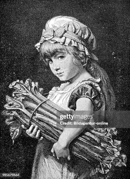 Girl with a bunch of rhubarb sticks, Maedchen mit einem Buendel Rhabarberstangen, digital improved reproduction of a woodcut, published in the 19th...