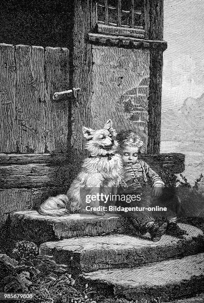 The guardian, dog is guarding the little boy who has fallen asleep on the stairs, Der Waechter, Hund bewacht den kleinen Jungen der auf der Treppe...