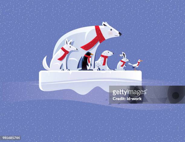 arctic animals standing on ice floe - penguin stock illustrations