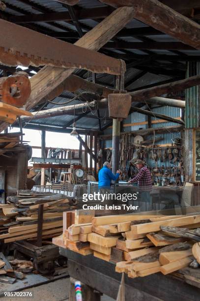 Logs of salvaged huon pine wait to be milled at Wilderness Woodworks, a specialty timber mill in Strahan, Tasmania. The tree is native to south west...