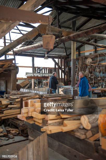Slabs of salvaged huon pine wait to be milled at Wilderness Woodworks, a specialty timber mill in Strahan, Tasmania. The tree is native to south west...