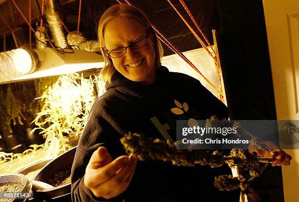 Sonja Gibbins, a marijuana grower, looks over some of her plants April 19, 2010 in Fort Collins, Colorado. Gibbins joined a legal marijuana...