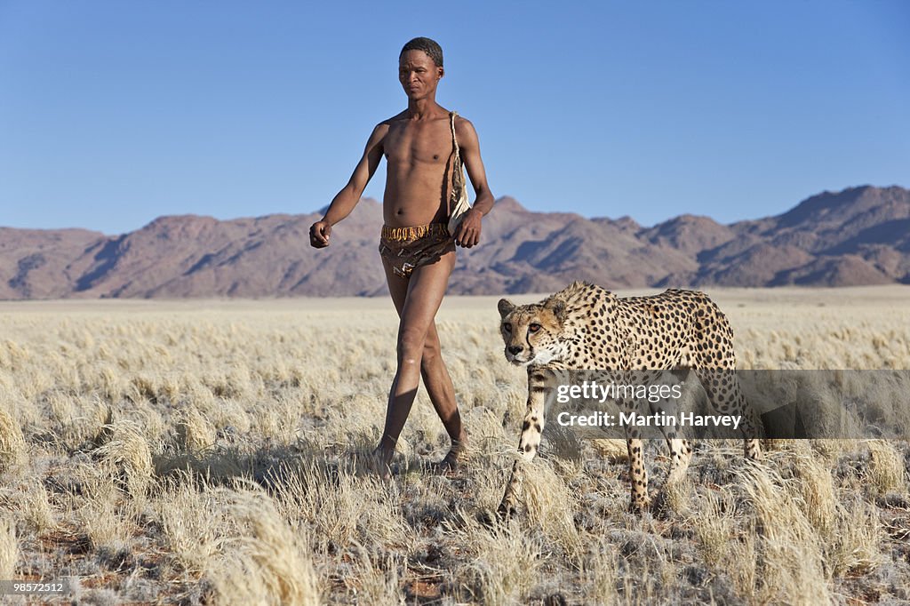 Indigenous Bushman/San hunter with cheetah.