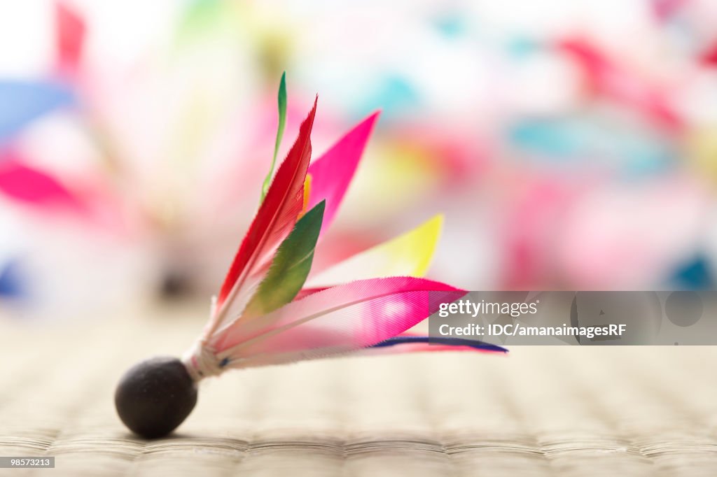 Shuttlecock