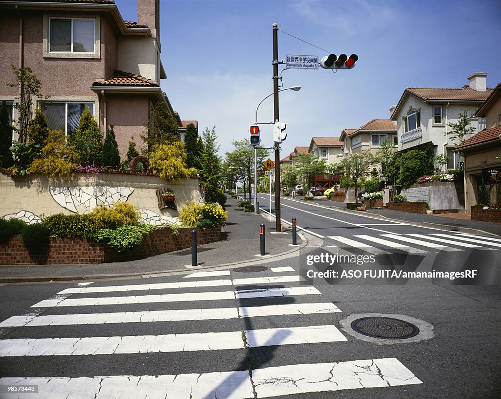 Traffic light and crosswalk in residential district, Ryokuentoshi, Kanagawa Prefecture, Japan