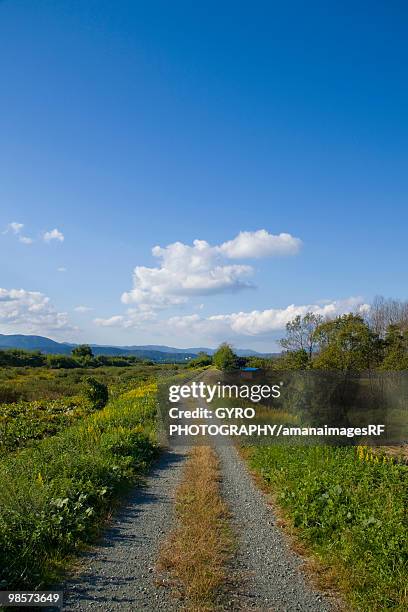 country road, moriyama, shiga prefecture, japan - siga prefecture ストックフォトと画像