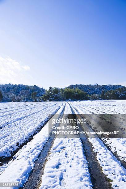 snow covered field, otsu, shiga prefecture, japan - siga prefecture ストックフォトと画像