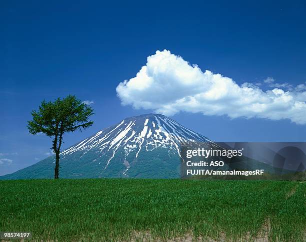 mt. yotei, makkari, hokkaido, japan - vulkan yotei stock-fotos und bilder