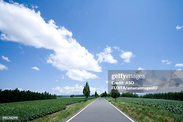 vanishing road in rural area. biei, hokkaido prefecture, japan - rf stock pictures, royalty-free photos & images