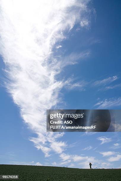 hill with single tree. biei, hokkaido prefecture, japan - kamikawa subprefecture stock pictures, royalty-free photos & images