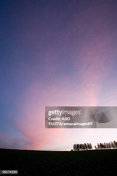 sunrise over crop, biei, hokkaido, japan - rf stock pictures, royalty-free photos & images