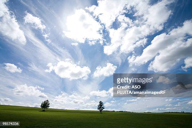 rural landscape and blue cloudy sky. hokkaido prefecture, japan - rf stock pictures, royalty-free photos & images