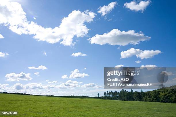 trees, green field and blue cloudy sky. hokkaido prefecture, japan - rf stockfoto's en -beelden