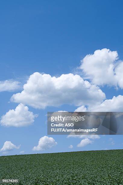 agricultural fields under blue cloudy sky. biei, hokkaido prefecture, japan - rf stockfoto's en -beelden
