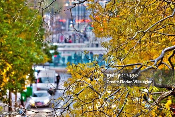 petite ceinture - ceinture stock pictures, royalty-free photos & images