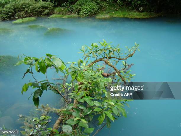 Picture taken along the course of the Celeste River in Costa Rica's Tenorio Volcano National Park, on April 18, 2010. The river gets its light blue...