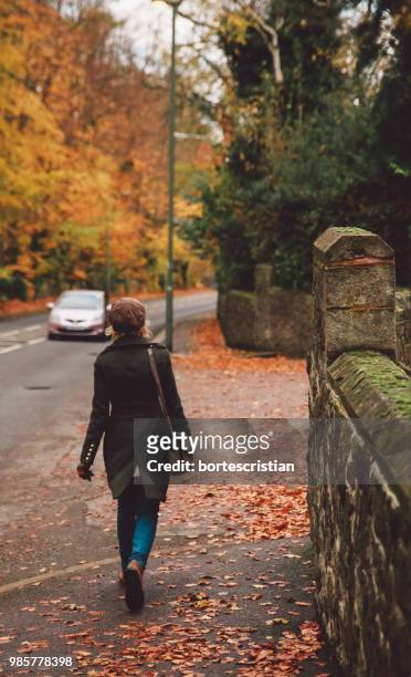 man walking on road during autumn - bortes fotografías e imágenes de stock