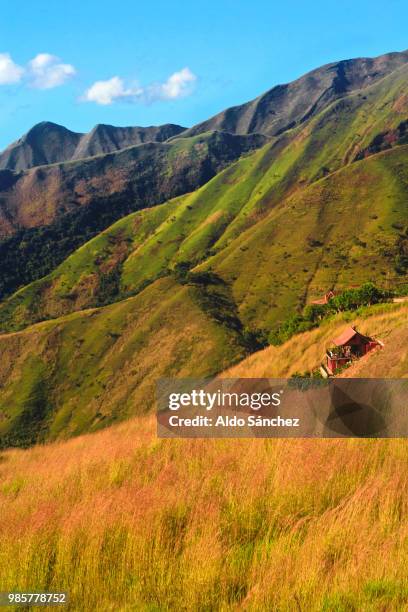 colonia tovar - colonia tovar photos et images de collection