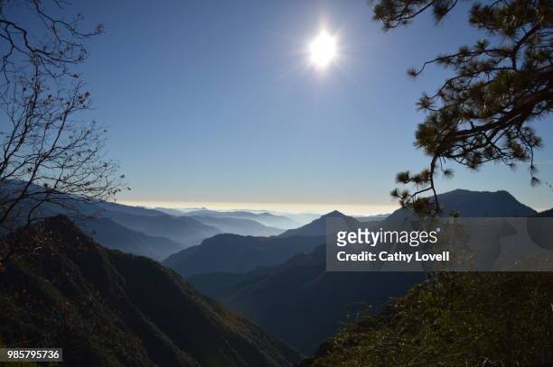 sequoia view - sequoia stock pictures, royalty-free photos & images